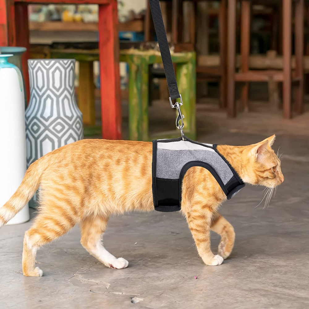 VKPETFR Cat Harness and Leash Set, Escape Proof Adjustable Kitten Medium